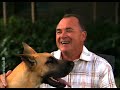 Vidéo de dressage des chiots - Trouver un éleveur (Episode 5)