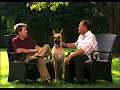 Les points importants pour choisir le bon éleveur dans votre recherche du chiot parfait.