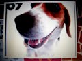 teledysk, klip, Pet Shop Boys,- I Want A Dog