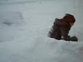 Snow Slide luge in Moncton N.B.