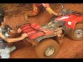 Estas son las imagenes de un breve recorrido por Carara a medidos de Mayo 2008.