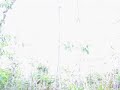 MVI_5700.AVI