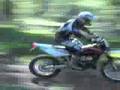 Adam-Riemann-Trainin