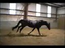 Guy Laroche Video 5