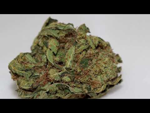 Durban Zkittlez Strain Rhythm – A1Cannabis