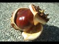 Der Herbst ist da