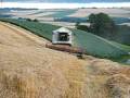 lexion 430 montana