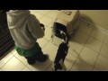 Arek Phoebe dinner video from last night. Guest starring @tperfitt's son. And their dog Rowdy. http://www.youtube.com/watch?v=9UNTKaed6Rk.