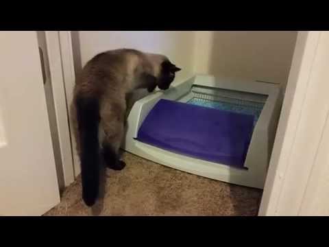 Automatic Cat Litter Box