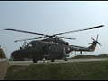 Lynx Showoff