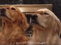 Kia & Lila - Nose Trick