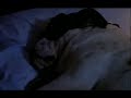 les chiens comme vous ne les avez jamais vue ...