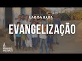 Ver vídeo