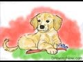 How to Draw a Golden Retriever Puppy