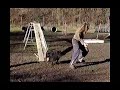 Agility training