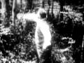 nicholas roosevelt biography nicholas roosevelt biography