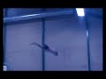 gymnastics excelence!