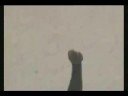 pakistan cricket bowling