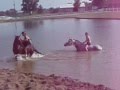videos de Summer Horseplay