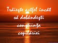 Meditatii Asupra Vietii