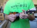 4. Buddy Holly (Ukulele Weezer)