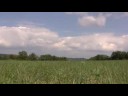 Wanne Fliegen Discus, Bergfalke und Alpina