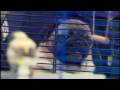 videos de Pug Puppy Mill?