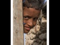 Eritrea mezmur - YouTube
