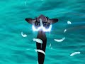 Tokyo Mew Mew-I�ll Make a Mew Out of You(Mulan)