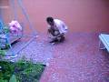 videos de Meu pai e a bombinha no Ano Novo