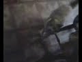 bad ass cat fight