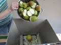 Cider Making