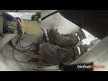 Rally HD Video - Footwork – Supercar RallyCross HD – Pure Sound