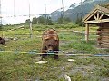 Eat The Fish!!