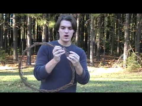 how to harvest grape vines for wreaths