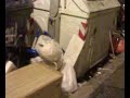 Okkupiamo e insozziamo Okkupiamo e insozziamo