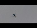 CHANGE THE TELEMARK SKI -UENO HIDETAKA STYLE- TEASER CHANGE THE TELEMARK SKI -UENO HIDETAKA STYLE- TEASER