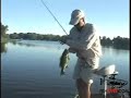 Bass Hits Popper Three Times