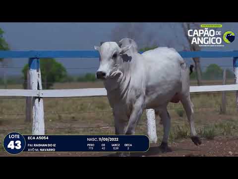 9 De Olho na Fazenda Capo do Angico