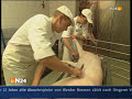 Schwein wird geschlachtet Schwein wird geschlachtet