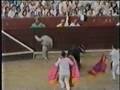 videos de Toreros de mierda!