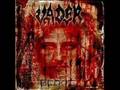 Vader-Predator