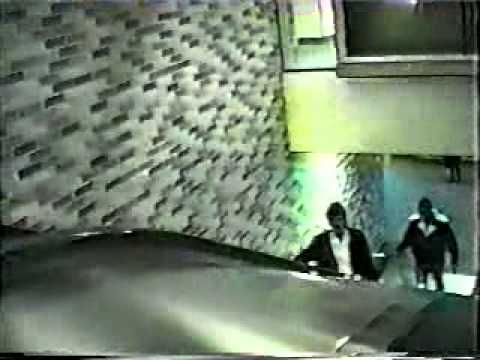 rogers normandin - la chienne de vie de pierre larouche