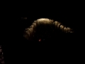 Night snow run vid.avi