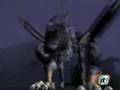 Arachnia e Grifo