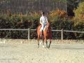 Adrien et Hagatha : entrainement dressage au tournebride - centre équestre de Pollionnay