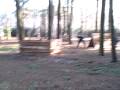 Video shoot van paintball tijdens Christomos op onze velden in Helchteren Park Molenheide...