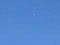 videos de team cessna 182