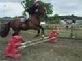 Sam && Benny (Jumping High) -- 17/5/2008