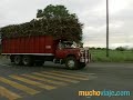 xalapa  méxico     muchoviaje